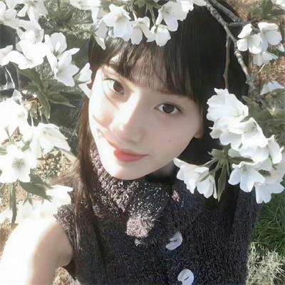 梦之森林