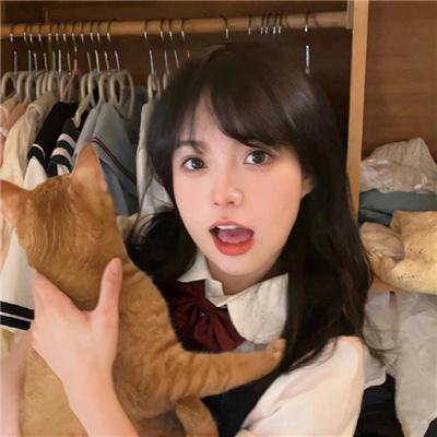 这该死的爱